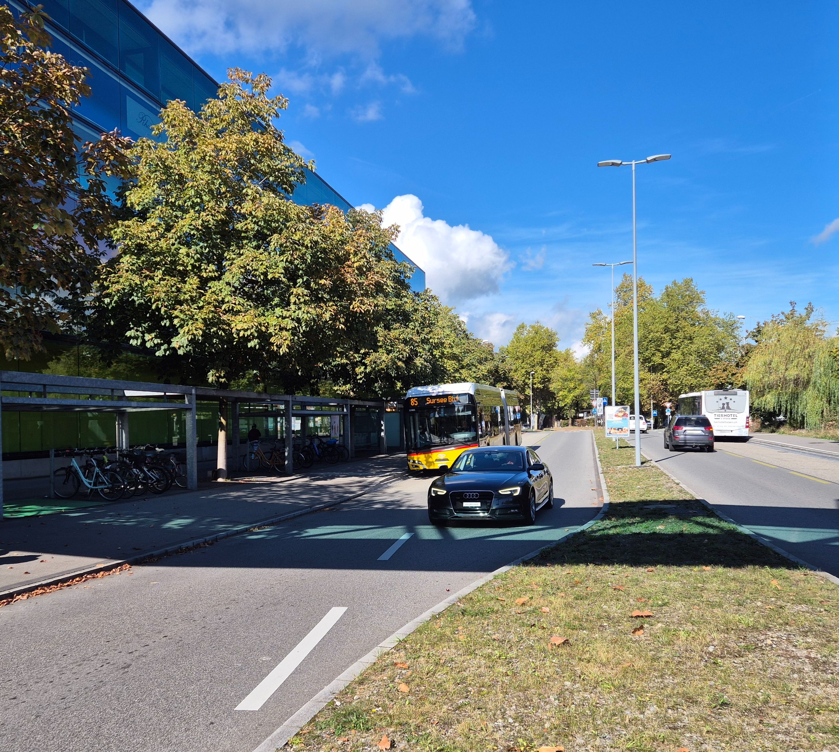 Sursee Parkk  (2).jpg
